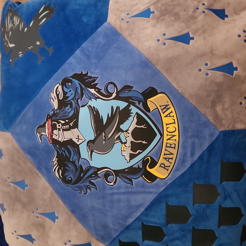 HARRY POTTER: Ravenclaw Throw Pillow - Picture 11 of 11